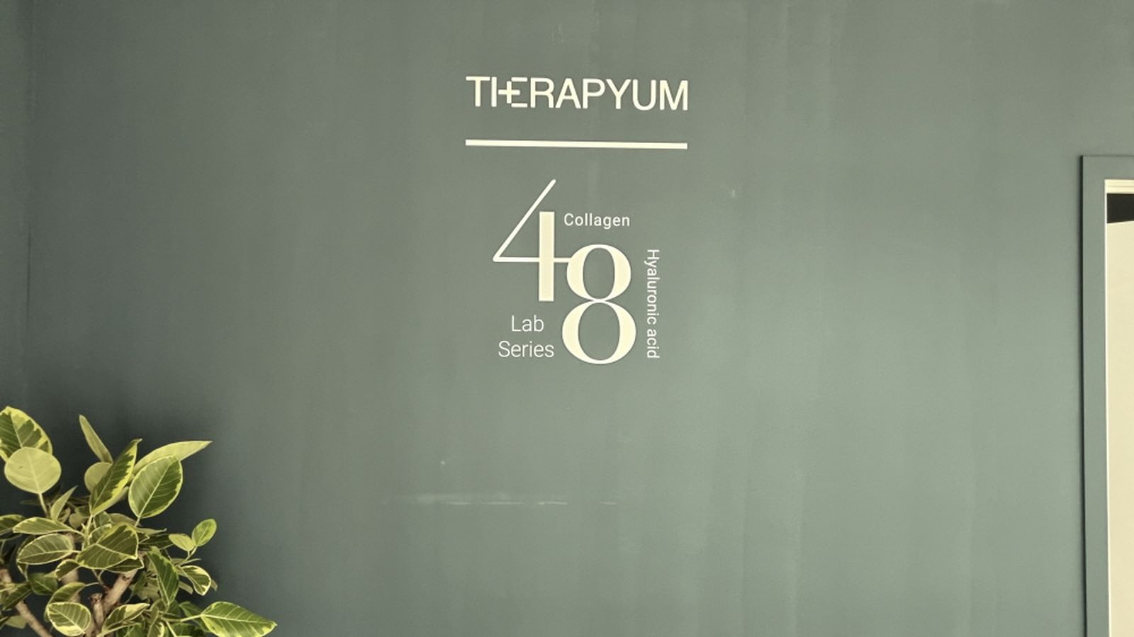Therapyum 48 Lab Series display